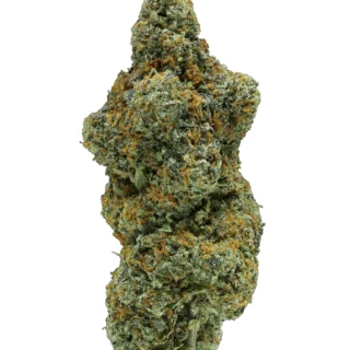Destino Farms THC-A 3.5g  Sun Grown Flower GELATO 41 (Hybrid)
