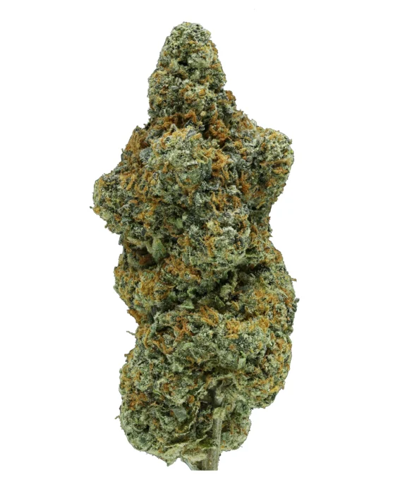 Destino Farms THC-A 3.5g  Sun Grown Flower GELATO 41 (Hybrid)