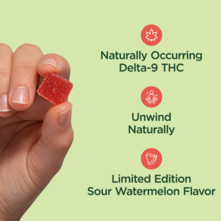 CBDistillery  Limited Edition Full Spectrum THC + CBD Gummies  Sour Watermelon – 30 Count