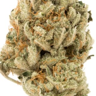 Destino Farms Sungrown Flower 3.5g - Cinderella sativa