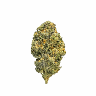 Double Runtz THCA Exotic Flower – 3.5g Hybrid, Fakies 25.90%