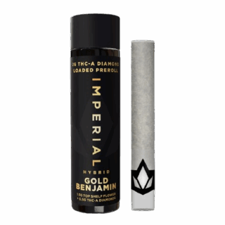 Imperial Gold Benjamin THCA Diamond Loaded Preroll 2g | Hybrid Potency