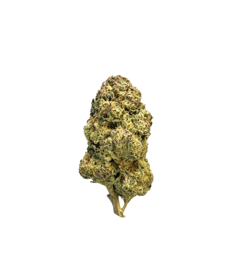 Imperial THCA Flower Gushers (FAKIES) 3.5g | Hybrid | 22.82% THCA - Image 2