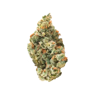 Destino Farms Sungrown Flower 7g - Lemon Cherry Gelato hybrid