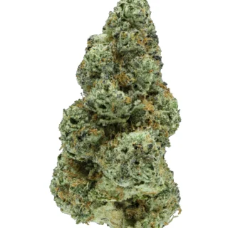 Destino Farms Sungrown Flower 3.5g - Mule Fuel indica