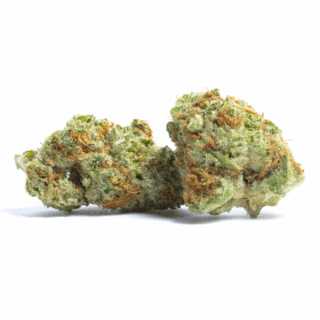 Destino Farms Exotic 3.5g Flower - Orange Push Pop sativa