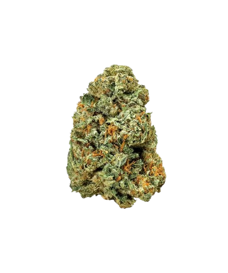 Imperial SFV OG – THCA Exotic Flower 3.5g Hybrid, Fakies Grade, 24.50% - Image 2