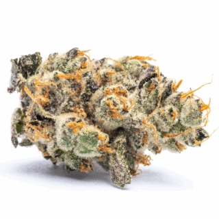 Destino Farms Exotic Flower 7g - Triple Burger Indica