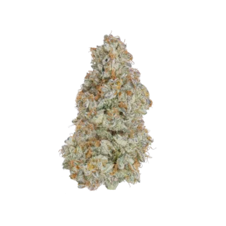 Destino Farms Sungrown Flower 3.5g - Cereal Milk hybrid
