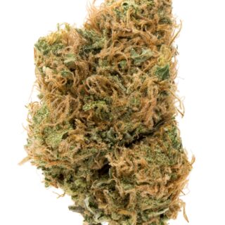 Destino Farms Sungrown Flower 3.5g - Golden Goat sativa