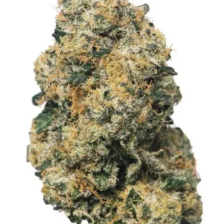 Destino Farms Exotic 7g Flower - Sherbanger hybrid
