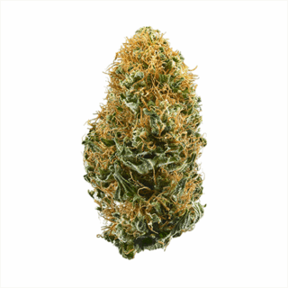 Destino Farms Sungrown Flower 3.5g - White Widow sativa