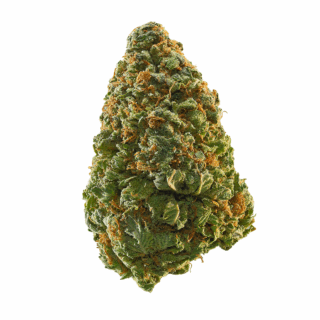 West Coast Exotics – 1.5g THC-P Indoor Flower