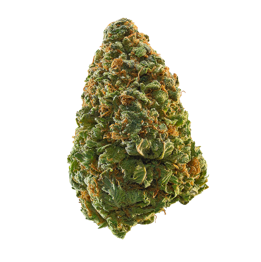 West Coast Exotics – 1.5g THC-P Indoor Flower - Image 3