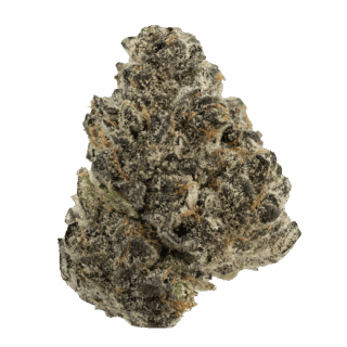 Destino Farms Indoor Exotic Flower THCA 3.5g – Cherry Pie Runtz (Indica)