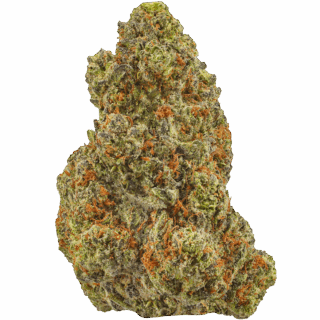 Destino Farms 7g Indoor Exotic Flower – Hawaiian Snow Cone (Sativa)