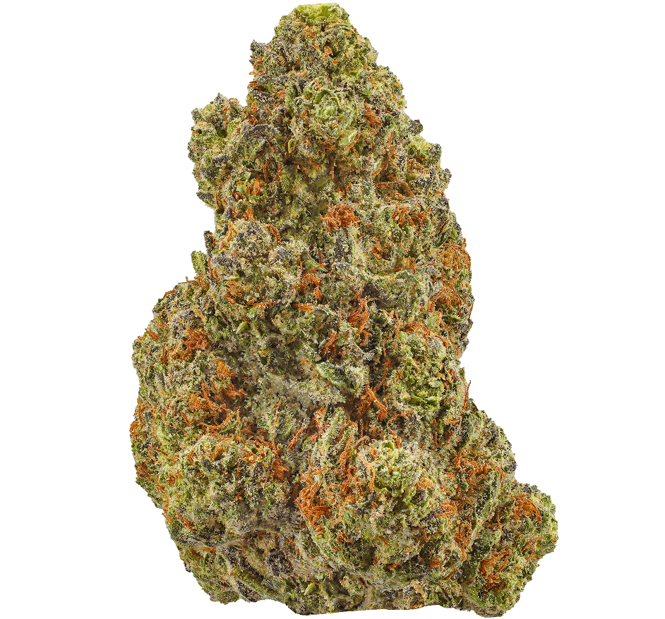 Destino Farms Indoor Exotic THCa Flower 3.5g – Hawaiian Snow Cone (Sativa)