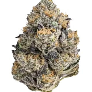 Destino Farms Indoor Exotic Flower THCA 3.5g – Purple Churro (Hybrid)