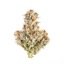 Destino Farms Sungrown Flower – White Truffle (Indica) 3.5g