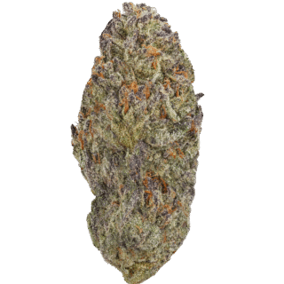 destino-farms-indoor-exotic-thca-flower-3-5g-papaya-punch-indica