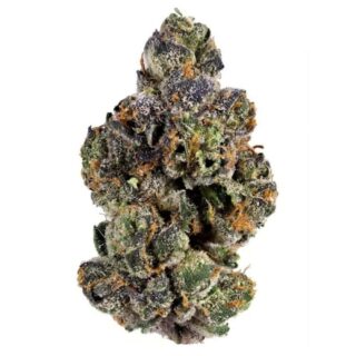 Destino Farms Indoor Exotic THCa Flower 3.5g Sour Cookies Sativa