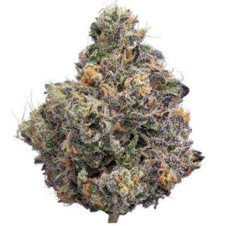 Destino Farms 7g Indoor Exotic Flower Sunset Runtz Hybrid