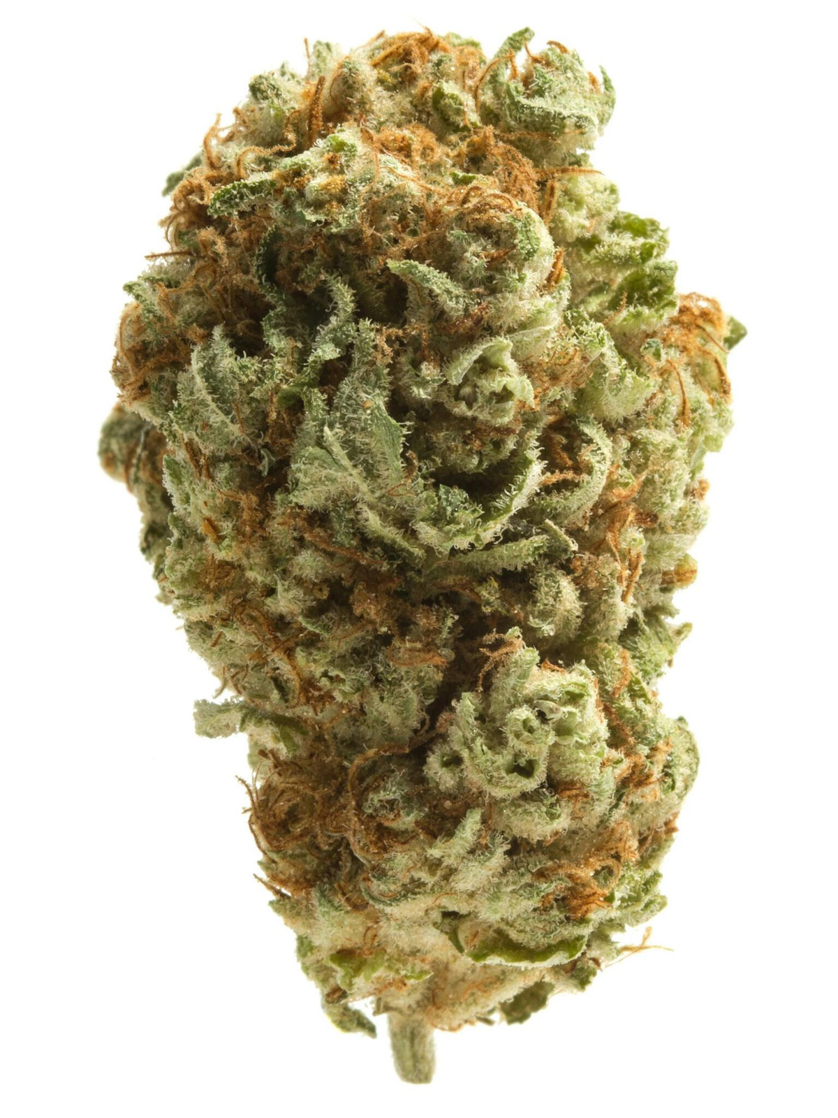 Destino Farms 7g Indoor Exotic Flower Guava Cooler Sativa